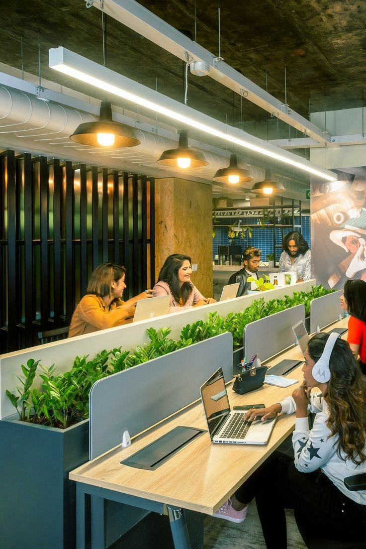 Open-plan office with ergonomic furniture and natural light